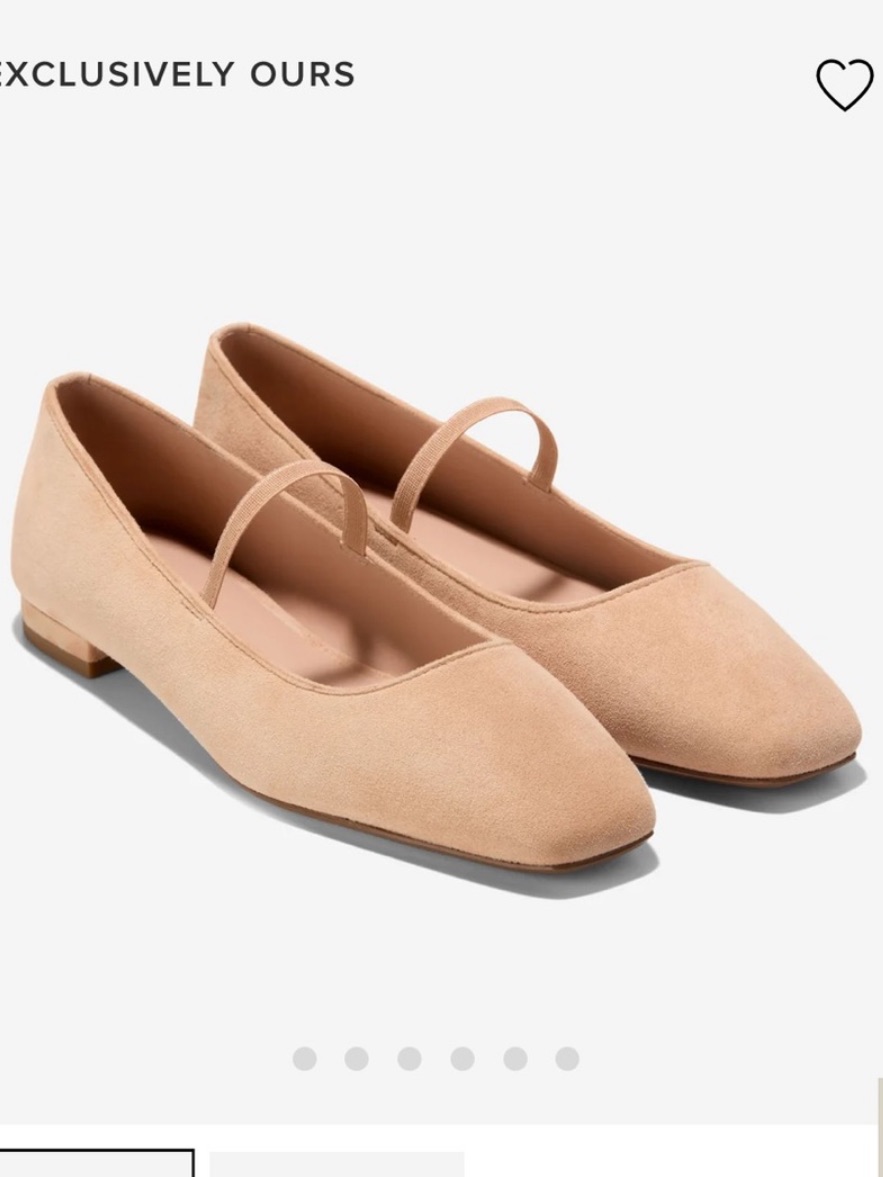 Cole Haan Bridget Mary Jane Ballet Flat Suede 10 Brand New In Box